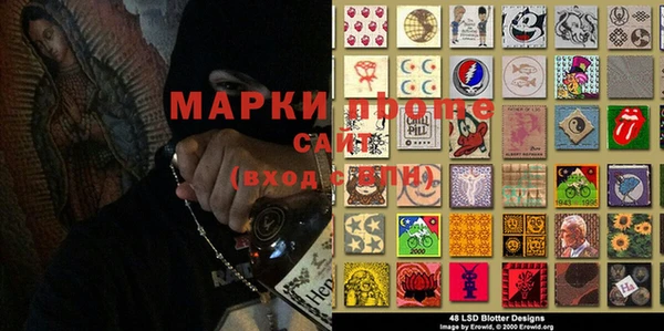 гидра Алексеевка