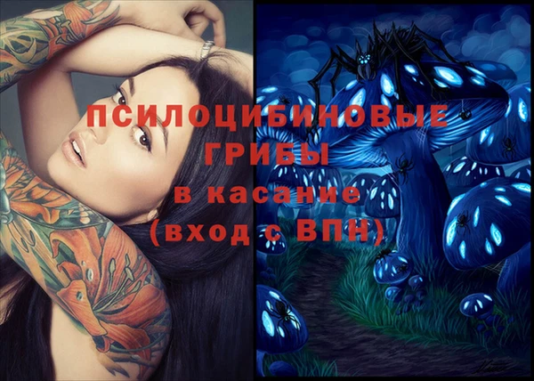 гидра Алексеевка