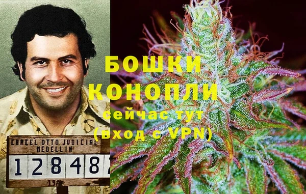 гидра Алексеевка