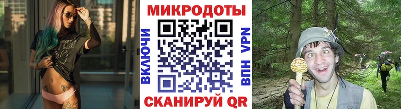 закладка  Балабаново  Галлюциногенные грибы Psilocybine cubensis 